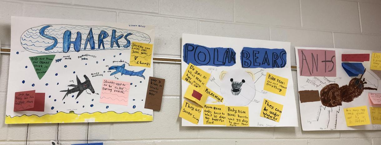 2nd Grade projects