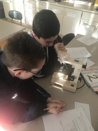 students looking at properties of light